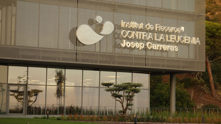 enfocament acustic en globuls vermells